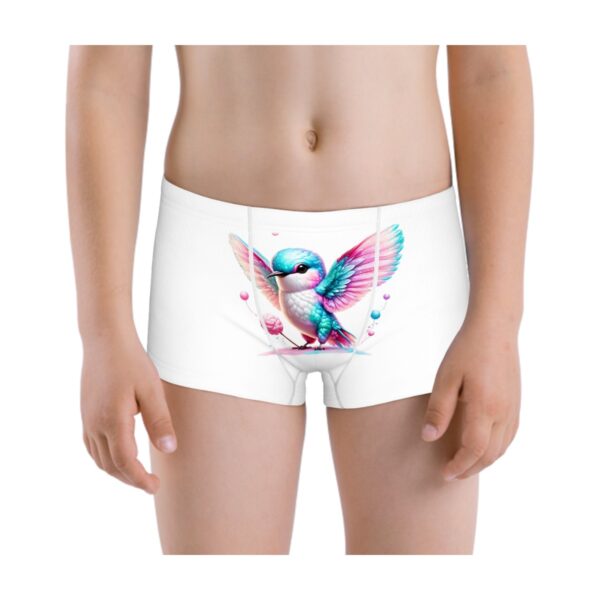 Colorful Sparrow Boys Boxer Briefs